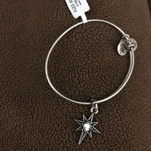 Alex and Ani North Star Silver NWT Bracelet✨
